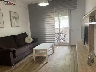 Piso en alquiler en Alcalde Felipe Mallol en San Vicente del Raspeig/Sant Vicent del Raspeig
