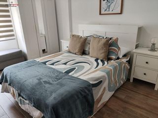 Piso en alquiler en Alcalde Felipe Mallol en San Vicente del Raspeig/Sant Vicent del Raspeig