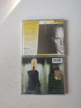 Lotto 2 CD Sting: Fields of Gold, Brand New Day