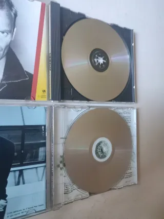 Lotto 2 CD Sting: Fields of Gold, Brand New Day