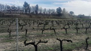 Terreno en venta en Almonte en Almonte