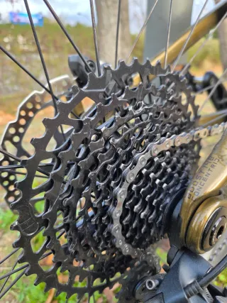 Orbea Occam H20 T-M 2024