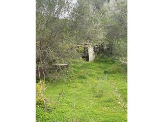 Terreno en venta en Andratx Pueblo en Andratx