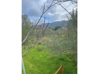 Terreno en venta en Andratx Pueblo en Andratx