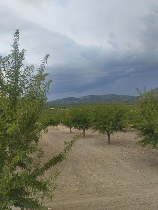 Solar en venta en Bullas