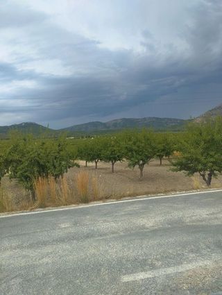 Solar en venta en Bullas