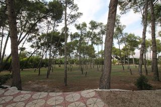 Casa rural en venta en Aspe