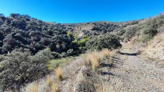 Terreno en venta en Alcudia de Monteagud