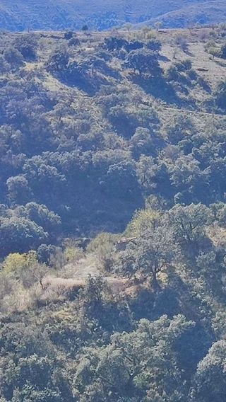 Terreno en venta en Alcudia de Monteagud