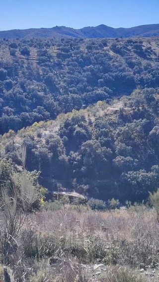 Terreno en venta en Alcudia de Monteagud