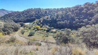 Terreno en venta en Alcudia de Monteagud