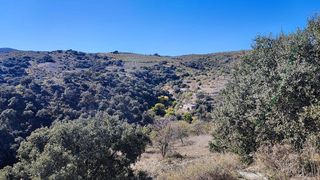 Terreno en venta en Alcudia de Monteagud