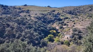 Terreno en venta en Alcudia de Monteagud