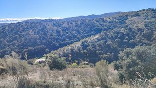 Terreno en venta en Alcudia de Monteagud