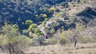 Terreno en venta en Alcudia de Monteagud