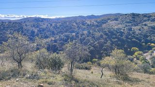 Terreno en venta en Alcudia de Monteagud