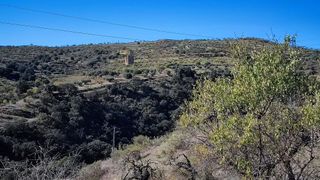 Terreno en venta en Alcudia de Monteagud