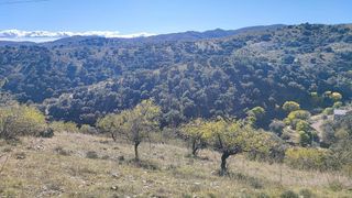 Terreno en venta en Alcudia de Monteagud