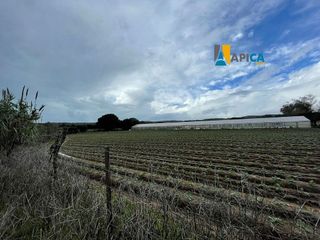 Terreno en venta en Barbate ciudad en Barbate