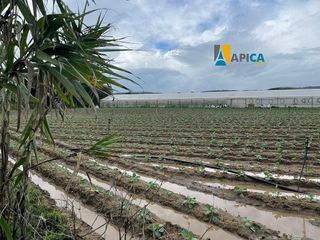 Terreno en venta en Barbate ciudad en Barbate