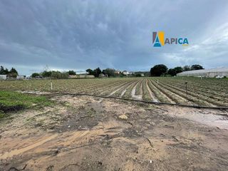 Terreno en venta en Barbate ciudad en Barbate