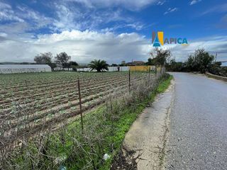 Terreno en venta en Barbate ciudad en Barbate