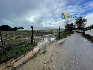 Terreno en venta en Barbate ciudad en Barbate