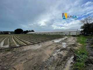 Terreno en venta en Barbate ciudad en Barbate