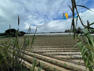 Terreno en venta en Barbate ciudad en Barbate