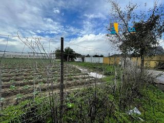 Terreno en venta en Barbate ciudad en Barbate