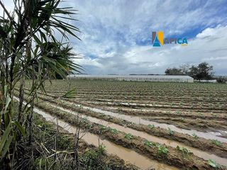 Terreno en venta en Barbate ciudad en Barbate
