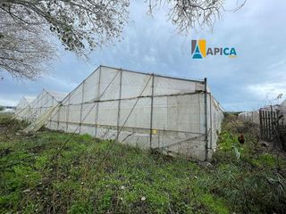 Terreno en venta en Barbate ciudad en Barbate