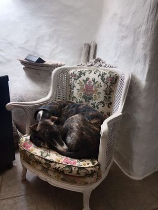 Casa rural en venta en Guadix