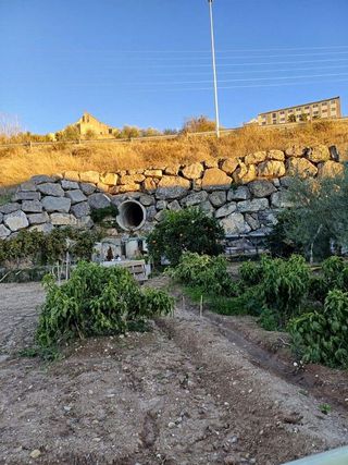 Terreno en venta en Montilla