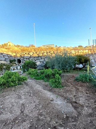 Terreno en venta en Montilla