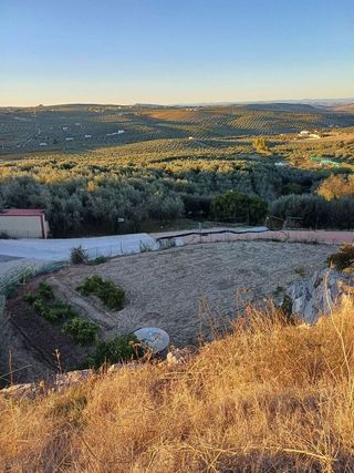 Terreno en venta en Montilla