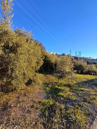 Terreno en venta en Montilla