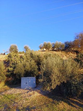 Terreno en venta en Montilla