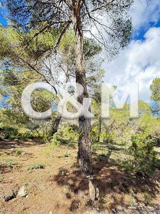 Terreno en venta en Sant Josep en Sant Josep de sa Talaia