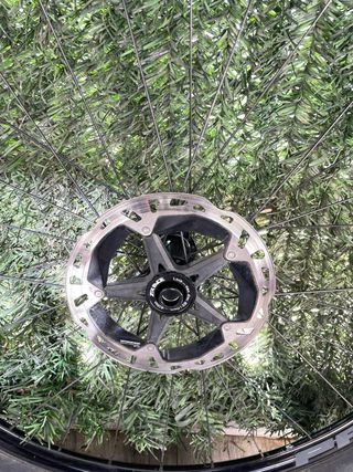 Rueda Progress Revo 29