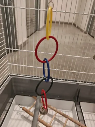 Jaula para pájaros blanca y gris