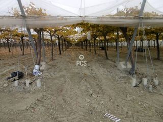 Terreno en venta en Aledo