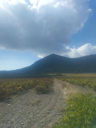 Solar en venta en Bullas