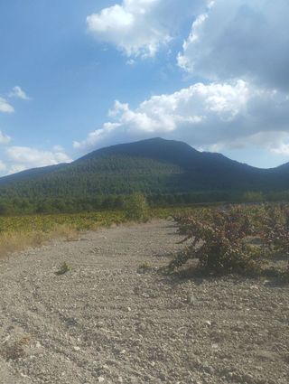 Solar en venta en Bullas