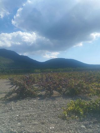 Solar en venta en Bullas