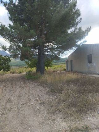 Solar en venta en Bullas