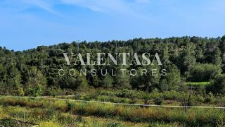 Terreno en venta en Alcora, l´