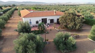 Chalet en venta en Piedrabuena