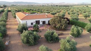 Chalet en venta en Piedrabuena