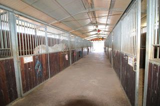 Chalet en venta en Almenara